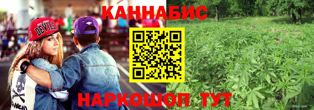 Бошки Шишки Северобайкальск